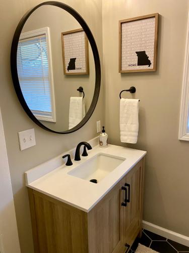 a bathroom with a sink and a large mirror at Family Favorite Heart of The Hill in Saint Louis