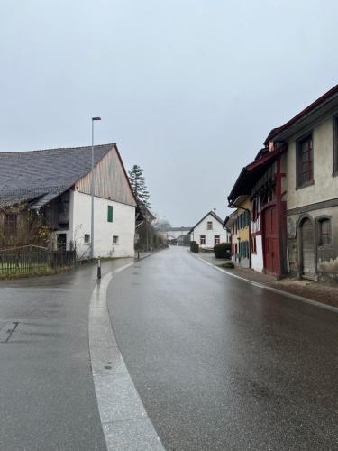 an empty street in a town with houses and a fire hydrant at Motel Schwanen in Schlattingen