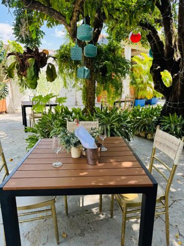 Κήπος έξω από το Axagua Hotel Boutique
