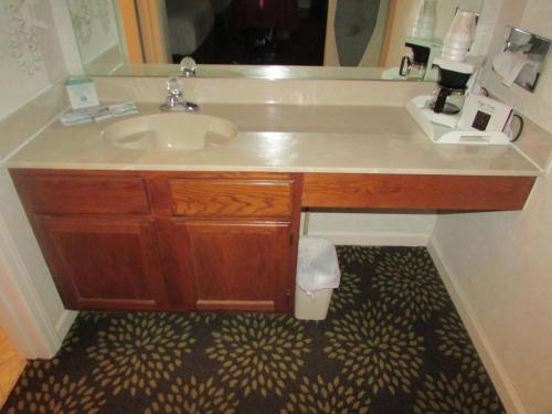 een badkamer met een wastafel en een spiegel bij Plantation Oaks in Millington