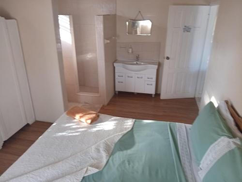 an orange cat laying on a bed in a bathroom at Chandler Homestay in Saint Philip