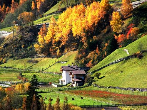 a small house on a hill in a field at Ferienwohnungen Auhaus in Martello