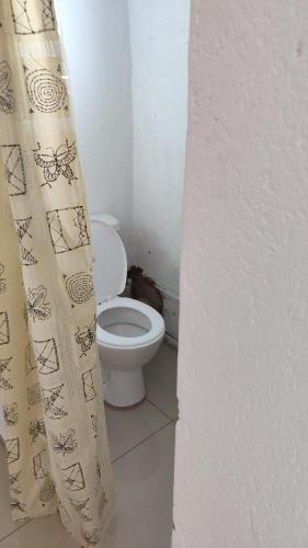 Un baño con inodoro y cortina de ducha. en Discovery Guest House, en Roodepoort