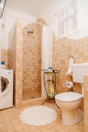 a bathroom with a toilet and a shower at House Sika in Miškovići