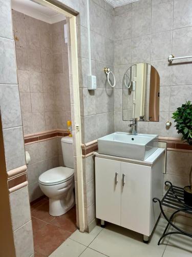 a bathroom with a toilet and a sink and a mirror at Silken Trap Budget Rooms in Johannesburg