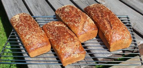 four loaves of bread sitting on a cooling rack at Berghotel zum Zirm in Collalbo