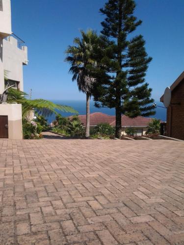 a tree in the middle of a brick road at The Third Dolphin in Herolds Bay