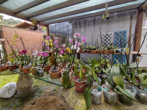 Φωτογραφία από το άλμπουμ του Flor de Orquídea guesthouse σε Nova Friburgo