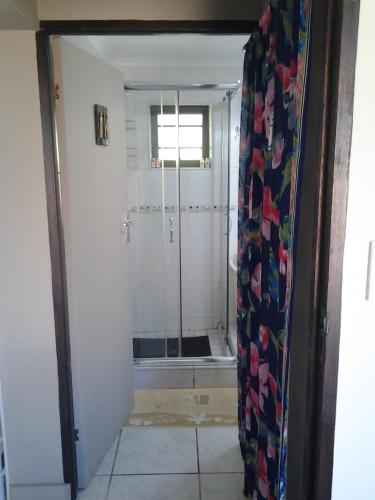 a shower with a glass door in a bathroom at The Third Dolphin in Herolds Bay