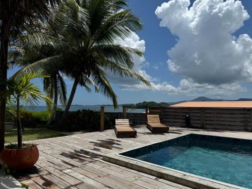 a swimming pool with two chairs and a palm tree at Villa Pointe La Rose in Le Robert
