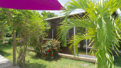 a purple umbrella in front of a house at Villa Pointe La Rose in Le Robert