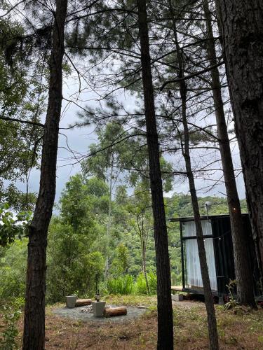Φυσικό τοπίο κοντά σε αυτό το σαλέ