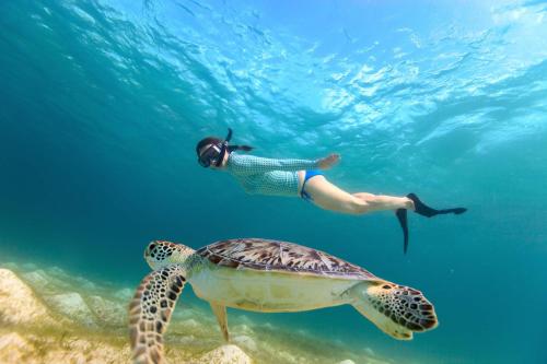 a person swimming next to a turtle in the ocean at Villa Minos in Hikkaduwa