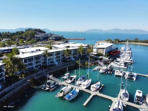 a group of boats docked at a marina at Water Views Studio in Nelly Bay