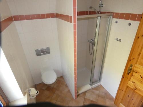 a bathroom with a shower and a toilet at Ferienhaus in Sebnitz in Sebnitz