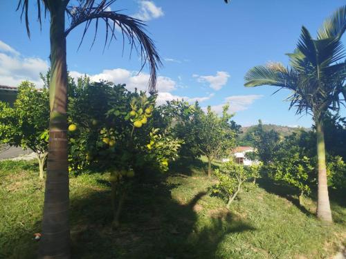 Jardín al aire libre en Cabaña Los Yoyitos