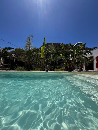 uitzicht vanaf het water van een zwembad bij La Cholita in Belén