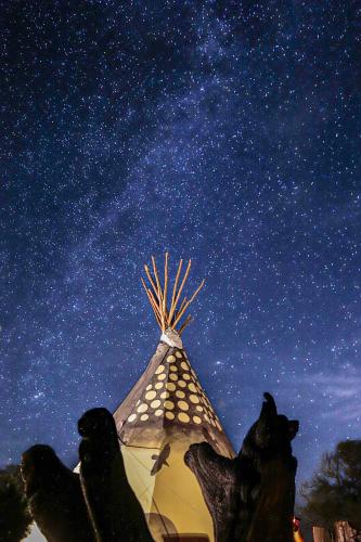 a statue of two dogs standing in front of a night sky at Oso Tipi at El Mistico Ranch in Nogal