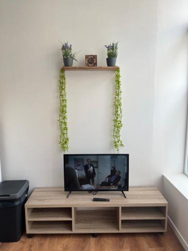 - une télévision installée au-dessus d'un centre de divertissement en bois dans l'établissement Les Perles d'Opale - Le Petit Sablé - Hyper centre, à Boulogne-sur-Mer