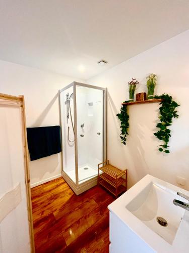 une salle de bain avec douche et lavabo dans l'établissement Les Perles d'Opale - L'Horizon Bleu - Hyper centre, à Boulogne-sur-Mer