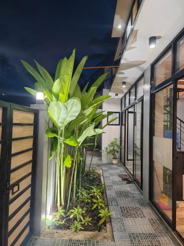 a hallway with a large plant in a building at Arrow Hill Vacation House in Dalaguete