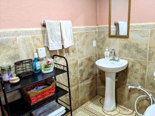 ein Badezimmer mit Waschbecken, Toilette und Spiegel in der Unterkunft Garden Cottage in San Ignacio