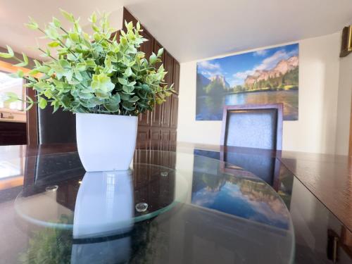 a vase with a plant on a glass table at Private Home - #RedwoodSkyWalkRetreat - 5BD, Pro Pool Table, BBQ, Foosball, Darts, Fireplace, Movie Projector, Stereo, Cotton Bedding in Eureka