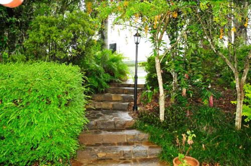 a stone stairway with a street light and trees at Kookaburra Motel Yungaburra in Yungaburra