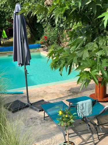 un parasol et deux chaises à côté de la piscine dans l'établissement Mas du Camisard, à Ribaute-les-Tavernes