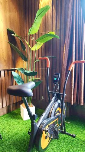 a bike parked next to a potted plant at Rosa May Hotel in Ho Chi Minh City