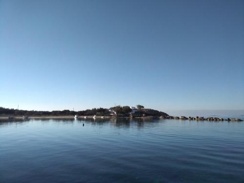 a large body of water with a group of birds on it at Theofanis on the beach in Agia Anna Naxos