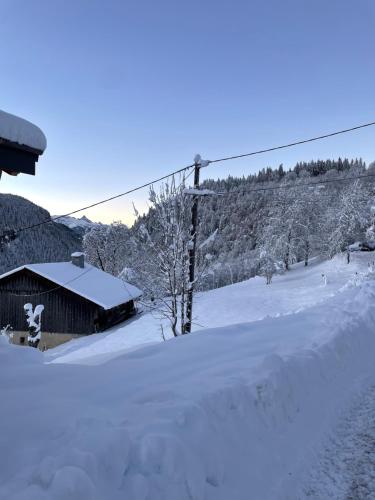 Charmant appartement sous combles, neuf