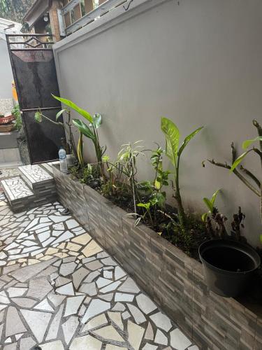 Zahrada ubytování Gusti Room II