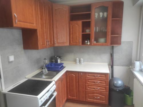Η κουζίνα ή μικρή κουζίνα στο Kwatery JP24 Centrum