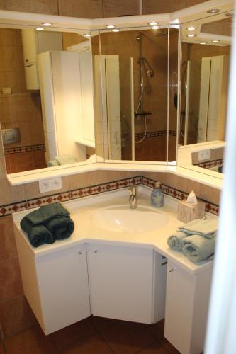 a bathroom with a sink and a large mirror at L'Ecrin Montois in Mons