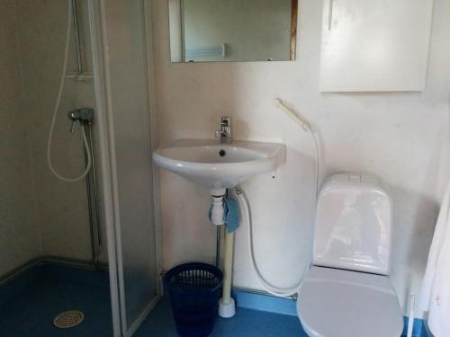 a bathroom with a sink and a toilet and a mirror at Liten stuga med havsutsikt in VBY