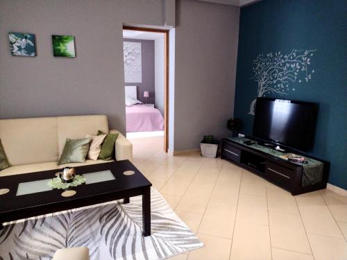 a living room with a couch and a flat screen tv at Apartament Dolek in Szczawnica