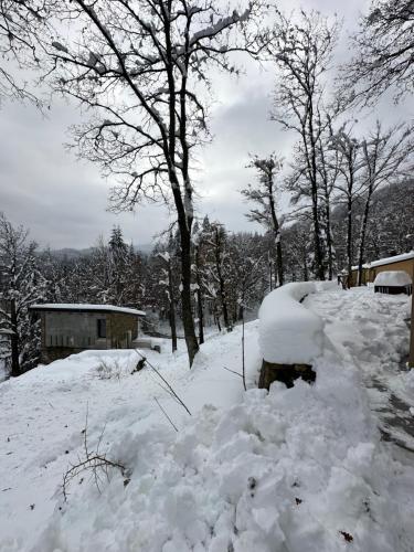 B&b Casa Rioletta photo 12