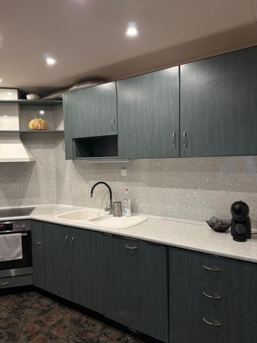 Kuchyň nebo kuchyňský kout v ubytování Villa Alexa