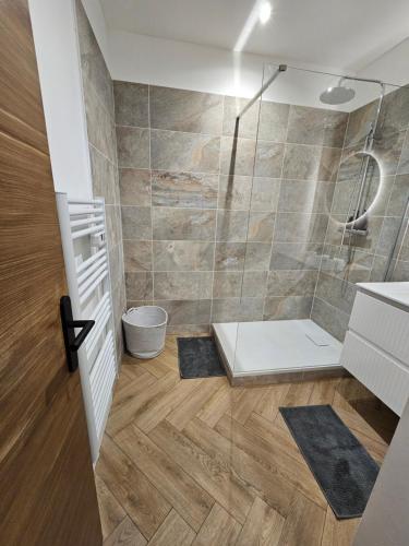une salle de bain avec douche et lavabo dans l'établissement Les élégantes colonnes de la Place Saint Charles, à Nîmes