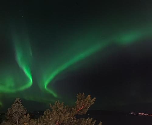 an image of the northern lights in the sky at Private House & Bungalow by the sea in Trondheim