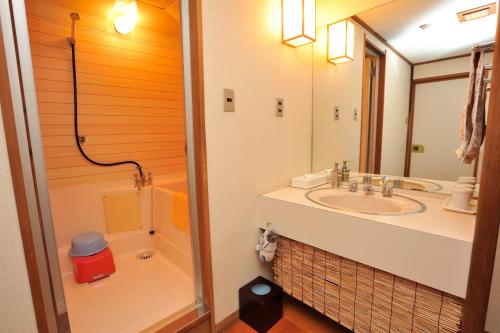 a bathroom with a sink and a shower and a mirror at Fukeikan 風景館 in Takayama