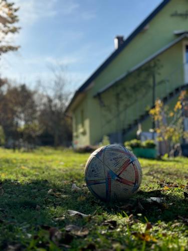 a soccer ball sitting on the grass in front of a house at Kuca za odmor - Miris Lipe in Barjaktarevići