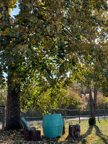 a blue barrel sitting under a tree in a park at Kuca za odmor - Miris Lipe in Barjaktarevići