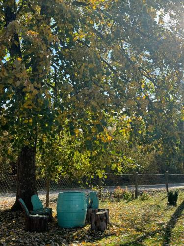 two chairs sitting under a tree in a park at Kuca za odmor - Miris Lipe in Barjaktarevići