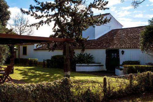 una casa blanca con un árbol en el patio en Casa Villa Garden, en Ponta Delgada