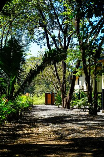 Κήπος έξω από το Casas del Bosque Nosara