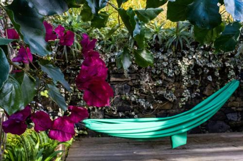 a green hammock sitting next to some pink flowers at Casa Villa Cottage in Ponta Delgada