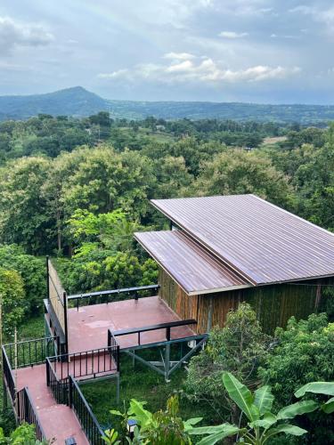 a building with a metal roof in the forest at บ้านภูไผ่ ไร่ภูไผ่เบิกตะวัน in Ban Nam Phang