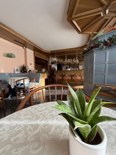 roślina doniczkowa siedząca na stole w restauracji w obiekcie Hotel Quadrifoglio w mieście Pinzolo